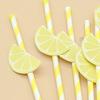 20 Stück Zitrusfrüchte Papierstrohhalme, Zitrone Orange Scheiben Deko Strohhalme für Geburtstagsparty, Einwegstrohhalme für Saft Cocktails