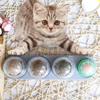 Pure Natural Chew Ball Nutrition Cat Supplies Teeth Cleaning Cat Snacks Catnip Balls Molar Cat Toys