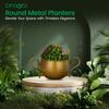 Metall Blumenvase Pflanztopf, Töpfe für Pflanzen, Pflanzentöpfe zur Heimdekoration, Sukkulententopf, Zimmerpflanzgefäß Gartendekor