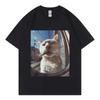 Cool Cat Fashion Casual Short Sleeve Streetwear Apparel Unisex Harajuku Y2K Fashion Casual Loose Cotton Summer New TShirt