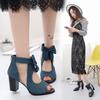 Fish Mouth Sandals 2025 Summer New Thick Heel Bow Sandals Roman Mesh Hollow High Heel Women's Shoes