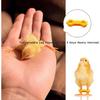 12Psc Baby Chick Splay Leg Hobble Brace, Baby Chick Leg Hobbles, Poultry Leg Bands, Chicken Hobble Braces for Newborn Spraddle Leg of Chick Quails