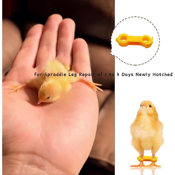 12Psc Baby Chick Splay Leg Hobble Brace, Baby Chick Leg Hobbles, Poultry Leg Bands, Chicken Hobble Braces for Newborn Spraddle Leg of Chick Quails