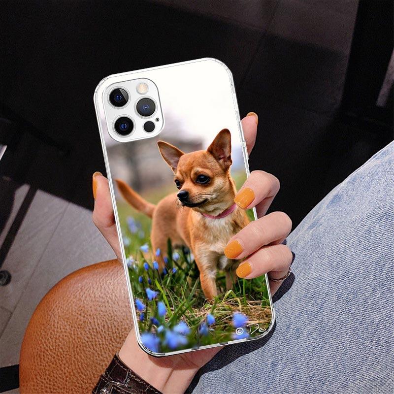 Chihuahua Puppy Teacup Dogs Phnoe Case for Iphone 17 Air 16 11 12 13 Mini 14 Plus 15 Pro Max 7 8E SE 2020 16ProMax Phone Cover C
