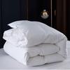 Polo Paul Premium White Goose Down Comforter