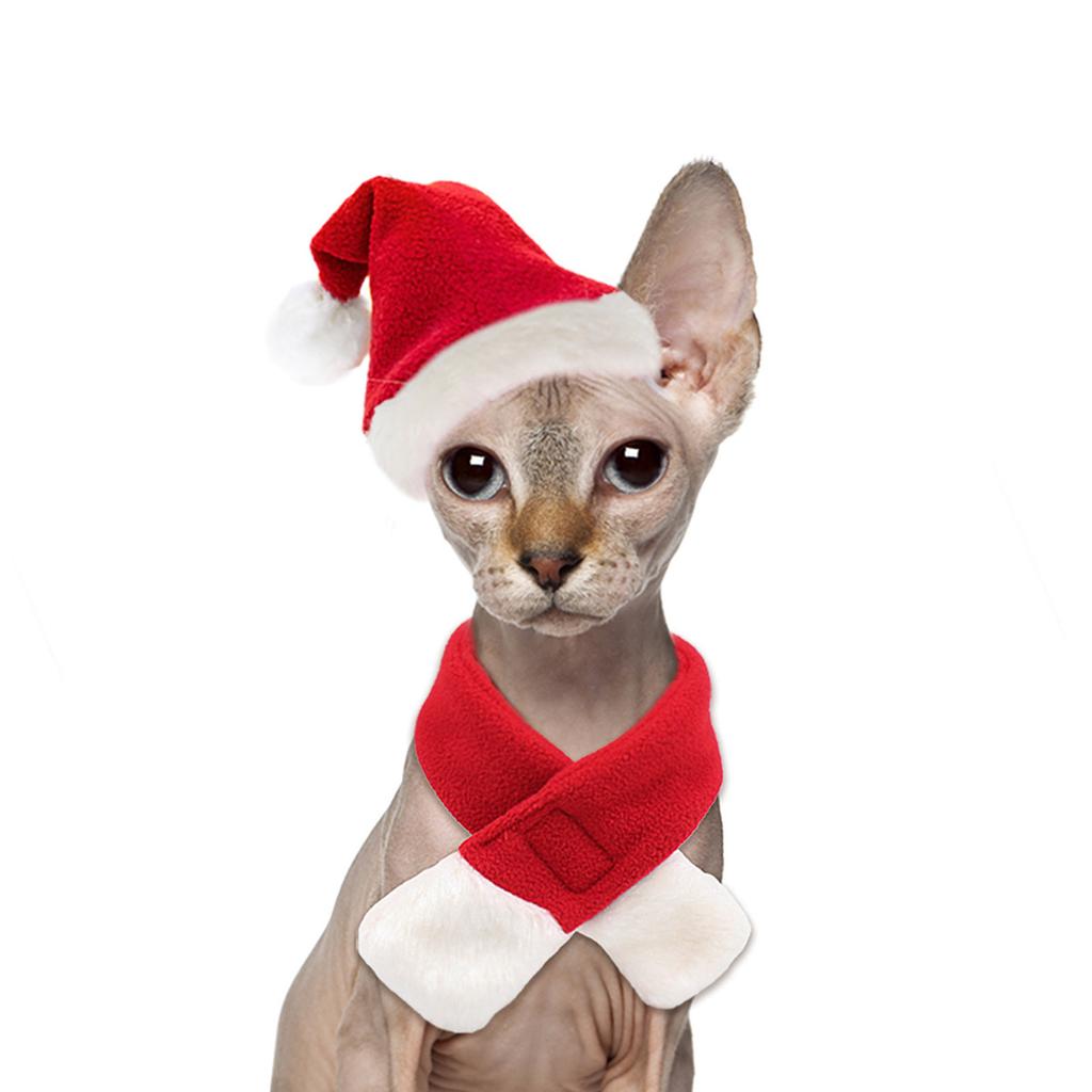 Funny Santa Hat Pet Headwear Photo Props with Scarf for Cats and Dogs for Holiday Photoshoots and Parties