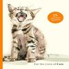 For the Love of Cats 25 Postcards by Ana Sampson Paperback Book 9781399600132