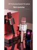 Wireless Bluetooth K-Song Microphone & Speaker with Built-in Sound Card for TV and Mobile