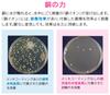 Gaona Korekamo Copper Sink Trash Basket for Drains Prevents Slime and (Anti-bacterial, Odors, Hygienic) GA-PB012