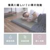 IKEHIKO Noah Easy Igusa Sheet Pad, Single, Green, Approx. 90 x 200cm, Made in Japan, Filling: 40mm Solid Cotton #7557909