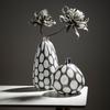 Black and White Polka Dot Glass Vase Hydroponics Terrarium Flower Vase Flowerpot Flower Arrangement  Home Decoration Accessories