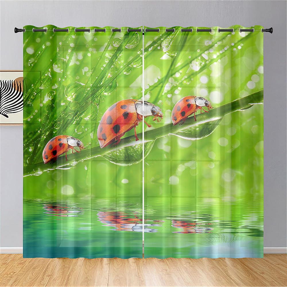 Cartoon Ladybug Curtain Funny Animal Translucent Voile Curtains Bedroom Living Room Balcony Decor Tulle With Sheer Polyester Perfect For
