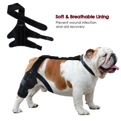 Aktualisierter Schutzverband für Hundearthritis, Schutzabdeckung für Hundebeine, Sprunggelenkorthese für Hunde, Knieschützer für Haustiere, Genesung von Hundeverletzungen