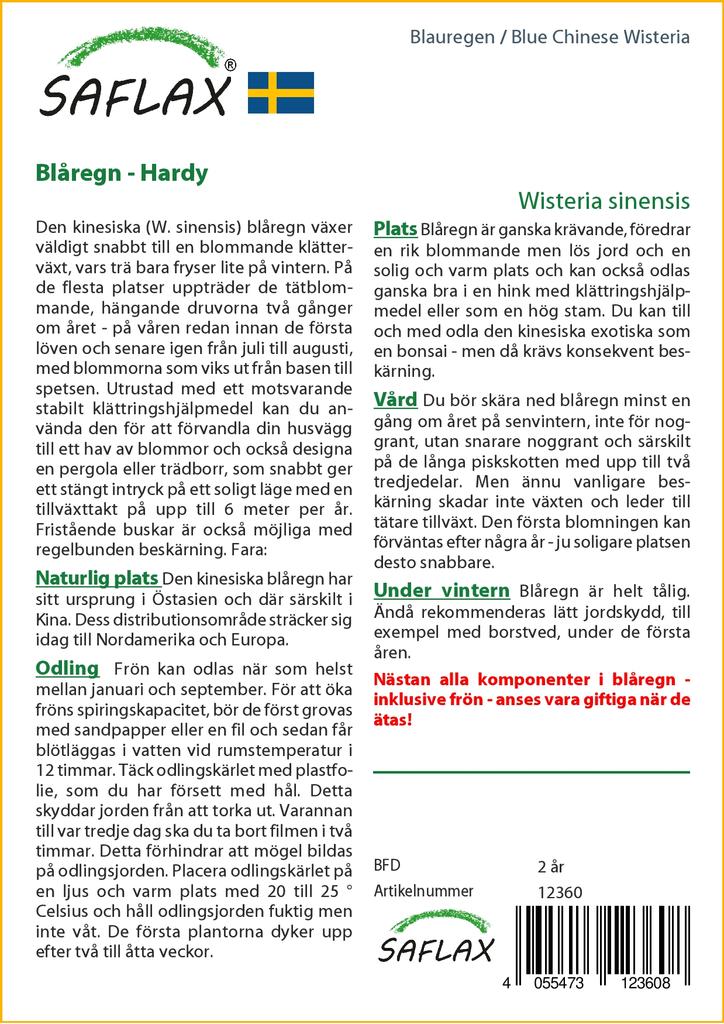 SAFLAX Blue Chinese Wisteria - 4 Seeds - With Potting Substrate for Better Cultivation - Wisteria Sinensis