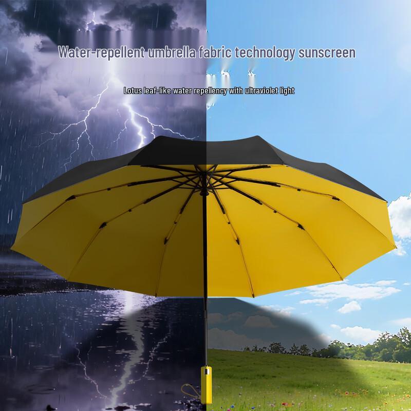 Hanyou Automatic Large Reinforced Rain & Sun Umbrella
