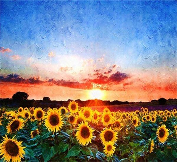 RUOPOTY Picture By Numbers Sunflower Flower Wall Art Unique Gift HandPainted Paint By Number Butterfly Decoration