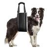 Hundelift-Geschirr, verstellbar, Hundeschlinge, Hüftstützgeschirr, Hundetrageschlinge für die Mobilitätshilfe für Hunde