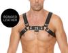 Black Bulldog Chest Harness - Ouch! Harness - Men's Harness