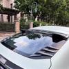 Rear Windshield Side Spoiler Side Vents Decoration General Window Louvers Universal Exterior Decorative Rear Wing  Accessories