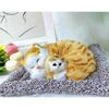 Wonpungrong Car Charcoal-eating Interior Goods Cat Doll, Orange Cat Hat, 1 piece,Korean Car Acc