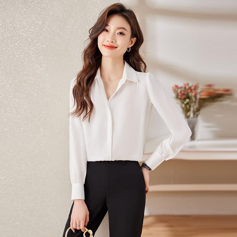 Women's Chiffon Long Sleeve Professional Shirt