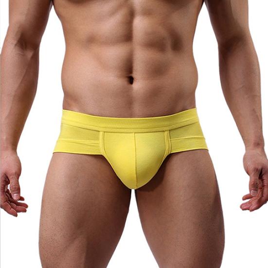 Men's Sexy Bulge Pouch Underwear Briefs Soft Elastic Modal Low Rise Underpants