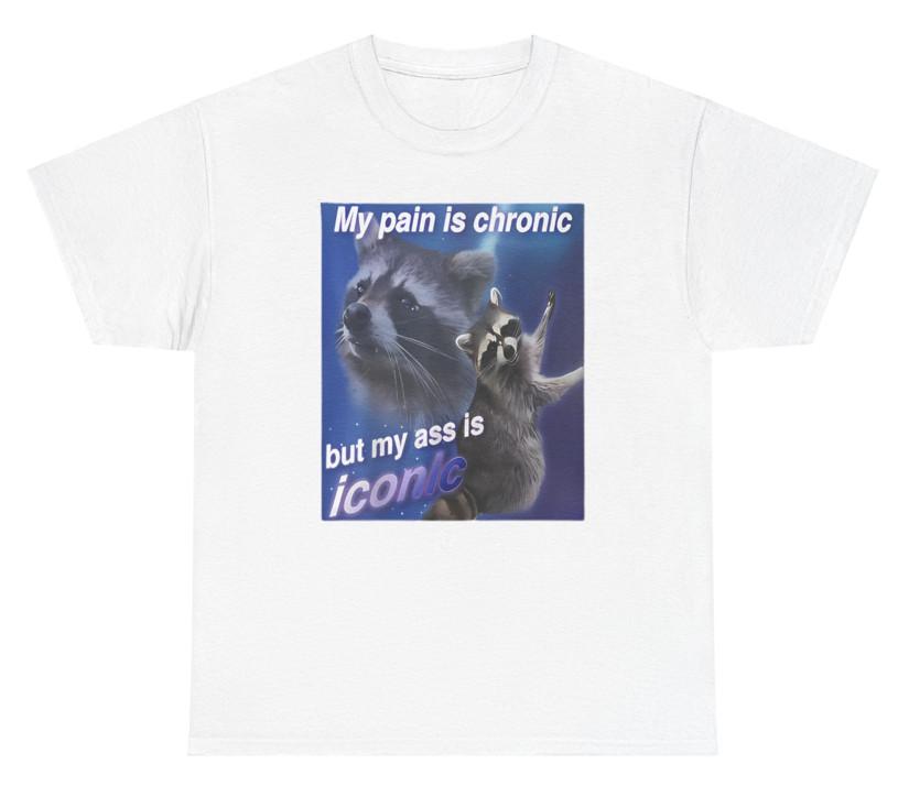My Pain Is Chronic But My Ass Is Iconic T Shirt Humor Dank Bold Offensive Tee