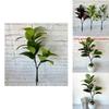 Plush Hevea Brasiliensis Indoor Plant For Living Room Decor And Event Styling