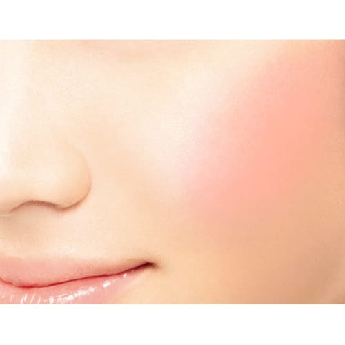 Kiss Me FERME 3d Effect Up Cheek 05 Coral Red 5g 2 Colors: Cheek Color and Under Eye Highlighter Flush Color