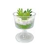 10Pcs Disposable Plastic Dessert Cup Ice Cream Cup Small Wine Cup Perfect For Fruit Ice Cream Pudding Wedding Party Decoration
