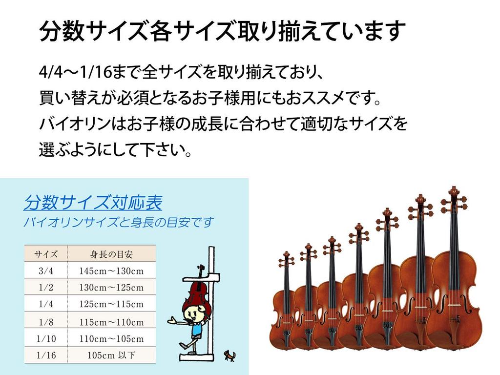 Carlo Giordano Violin Outfit VS-2 1/8