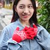 Thickened Touch Screen Gloves Cold Proof Warm Mitten Knitting Gloves  Outdoor Indoor
