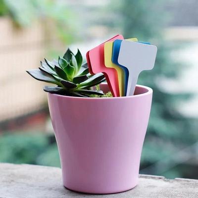 20pcs/lot 6 X10cm Plastic Plant T-type Tags Markers Nursery Garden Labels Decoration