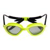 Arena Plastic Swimming Goggles with Mirrored Coating 365
