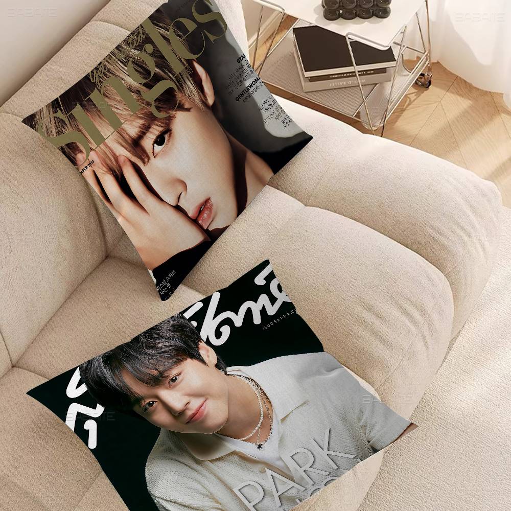 Korean P-PARK JI HOON Cushion Cover Pillowcase Upholstery Sofa Throw Pillow Home Decor Pillowcas