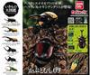 BANDAI Living Creatures Encyclopedia Rhinoceros Beetle 09 x Complete Set of 6, Gachapon Capsule Toy
