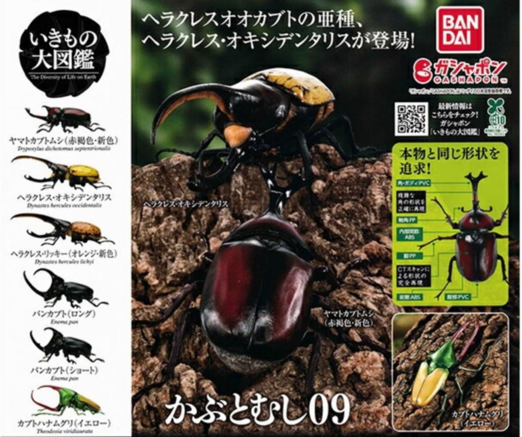 BANDAI Living Creatures Encyclopedia Rhinoceros Beetle 09 x Complete Set of 6, Gachapon Capsule Toy