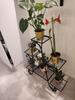 Flower 3 Width Gardening Flower Garden Living Height High Large Stand, Iron, Black, Tiers, 80, Rack, Indoor, Outdoor, Stand, Cute, Houseplants,
