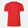 DESCENTE Swiss Triathlon Short Sleeve T-Shirt Red Sr223Its53 (A Type)