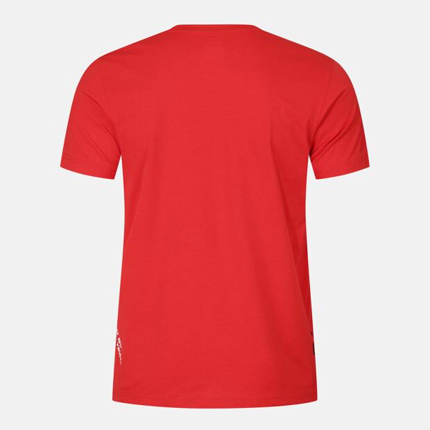 DESCENTE Swiss Triathlon Short Sleeve T-Shirt Red Sr223Its53 (A Type)