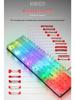 Douni KB101 RGB Transparent Gaming Keyboard