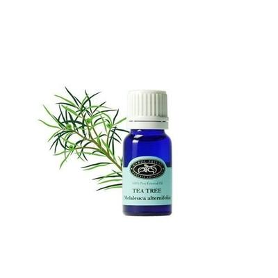 Carol Priest Tea Tree Essential Oil 10ml