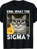 EnS Funny Cat Learning Graphic TShirt ERm What The Sigma Black Tee with Glasses Cat Design Everyday Shirt for Cat Lovers