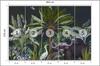 Photomural Animals Amidst Palm Trees And Plants Self-Adhesive Mural 405x270