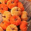WTEMPO Künstlicher Samt-Kürbis-Kranz Mehrere Mini-Kürbisse im Ring-Design für Halloween, Thanksgiving und Herbst-Dekorationen