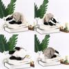 Plush Toy Badger Animal Stuffed Doll Cartoon Bedroom Decoration Kids 36cm Gift