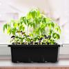 10 Pack Seed Starter Tray with Ventilation Hole 12Grids Seeds Growing Cultivation Planting Box Mini Greenhouse Plant Starter Kit