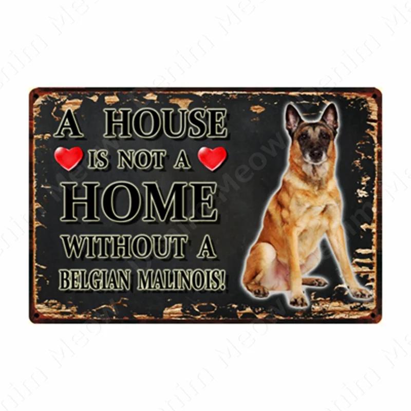 A House Is Not A Home Without A Dog Plaque, Vintage Metal Tin Signs, Bar, Cafe, Home Decor, Springer Spaniel, Wall Art Poster