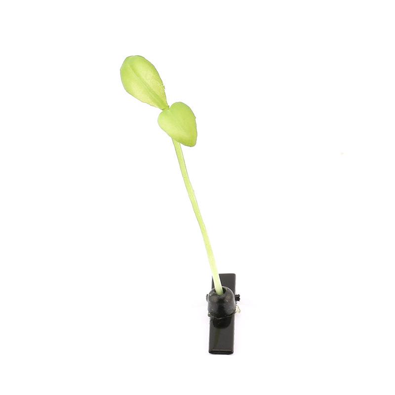 Sprout Hair Clip - Cute and Funny Douyin-Inspired Grass Growing Headwear
