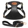 Cute Step-In PU Leather Dog Harness & Leash Set Adjustable Pet Puppy Walking Vest Lead for Small Medium Dogs